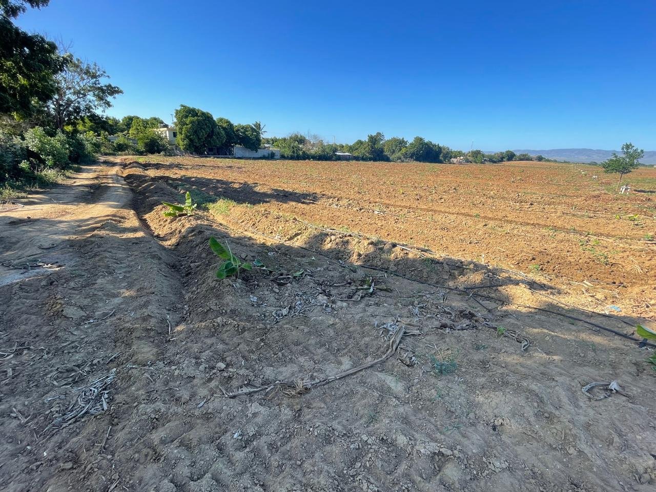 WhatsApp Image 2025-06-14 at 8.42.08 AM (2)