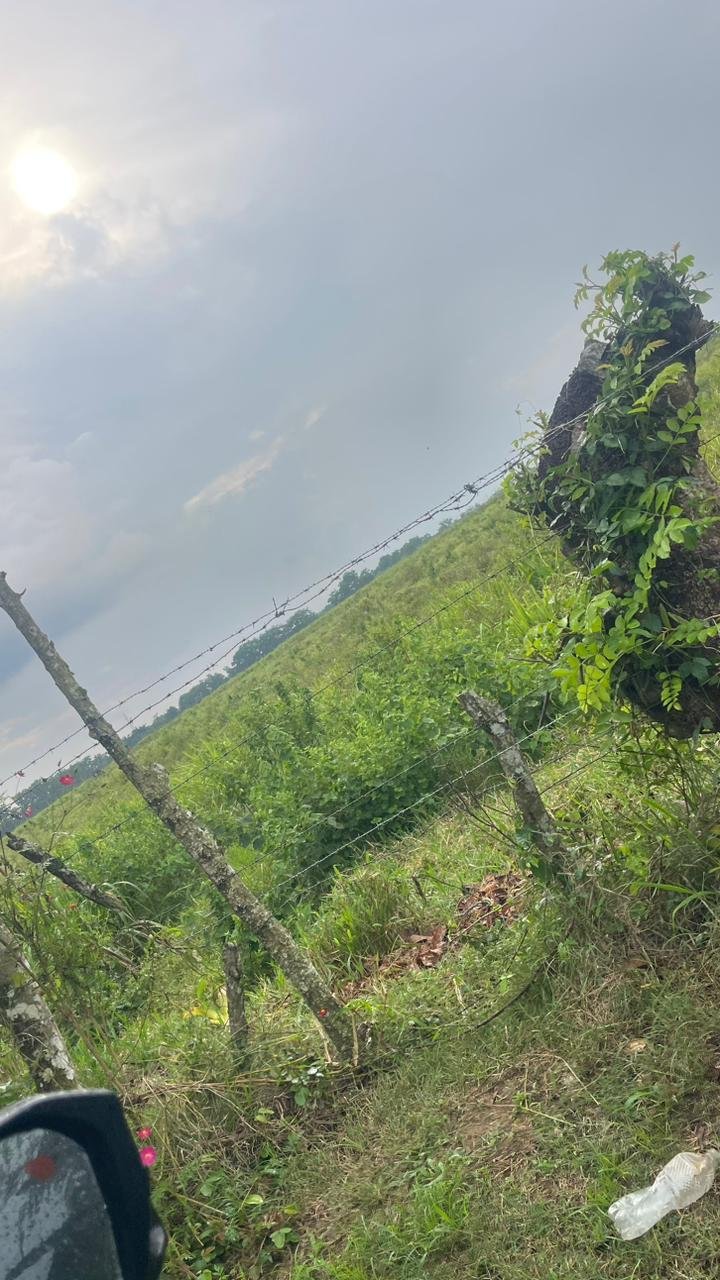 WhatsApp Image 2025-11-19 at 7.44.14 PM (1)