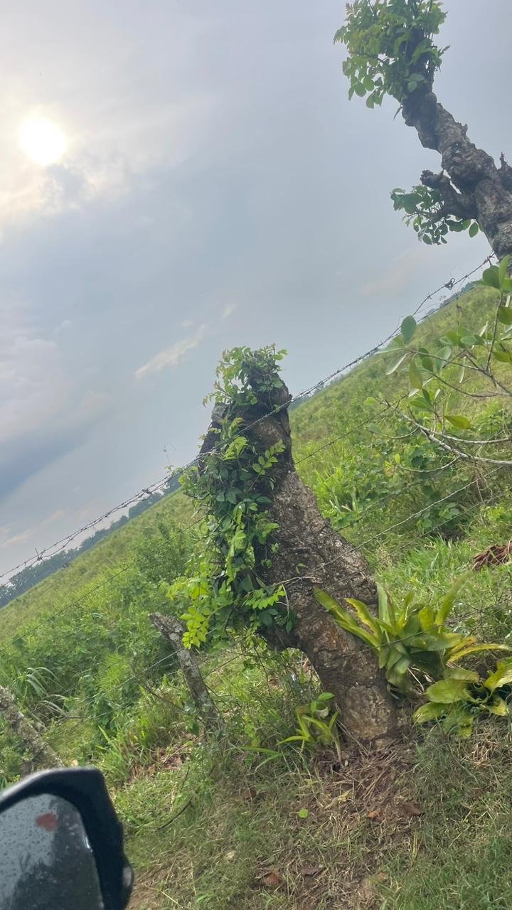 WhatsApp Image 2025-11-19 at 7.44.14 PM